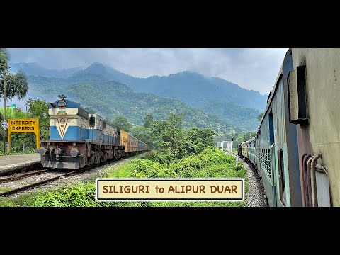 SILIGURI to ALIPUR DUAR : Exploring the heavenly DOOARS and Wildlife sanctuaries by train | AUG 2022