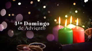 Cuarto Domingo de Adviento, Domingo 22 Diciembre 2024 🕯️🎄 Padre Luis Vivó #TeleVID #Adviento2024