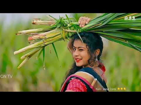 WhatsApp status. Music | Short Video