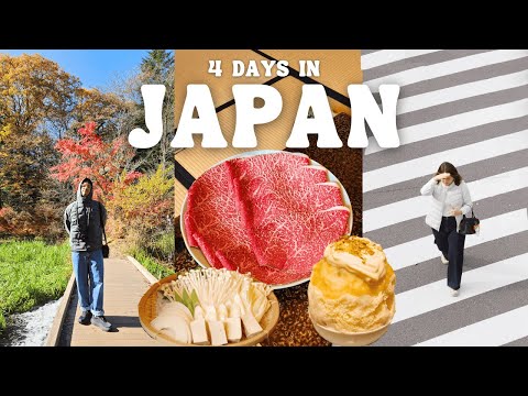 Tokyo Japan Vlog 🇯🇵 Shopping at UNIQLO Japan, 4 Day Japan Itinerary, Shinjuku, Nagano, Karuizawa