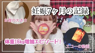 【妊娠7ヶ月】妊婦健診・赤ちゃんの様子・体重増加