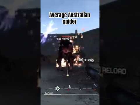 Australian wildlife be like #christmas #borderlands #meme #funny ​⁠@GameMusicSGM