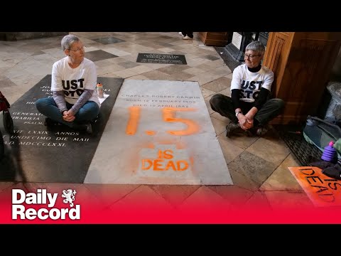 Just Stop Oil supporters spray-paint ‘1.5 is dead’ on Charles Darwin’s grave