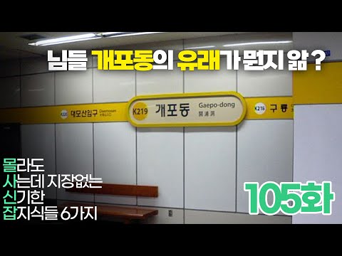 개포동이라는 이름이 붙은 이유 (몰사신잡 105화)