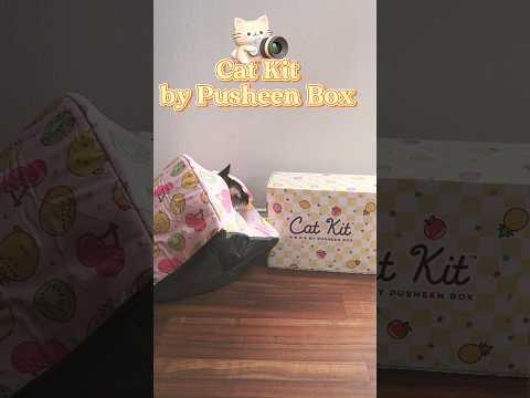 Cat Kit mystery box by Pusheen Box Summer 2024 #unboxingvideo