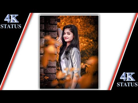 New Aadivasi Gujrati Stetus #shorts #viral #video #vijaygawadjays #trending #aadivasi_status