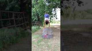 Yoga with Bella / Handstand  on top of empty Horse Trough #shortvideo #handstandeverywhere