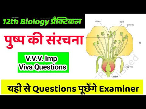 पुष्प की संरचना Viva Questions ! Important Questions for Practical Exam 2025