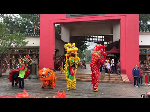 2019香港龍獅節