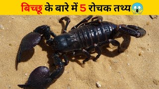 बिच्छू के बारे में 5 रोचक तथ्य😱 | #shorts #newfactsvideohindi #ytshorts