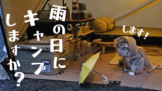 【猫とキャンプ】雨音と猫に癒される☔雨の林間サイトでソロキャンプ ⛺天川村 泉の森オートキャンプ場