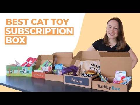 Best Cat Toy Subscription Box (We Tried Them All)