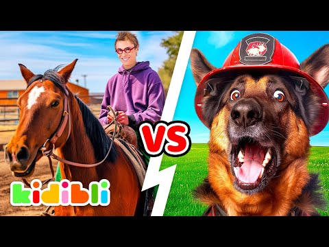 Horses VS Dogs Compilation | Animal Educational Videos for Kids | Kidibli