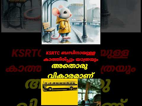 KSRTC ഒരു ഒന്നൊന്നര ഐറ്റം യാത്രയായിരുന്നു #shorts #shortsvideo #shortsfeed