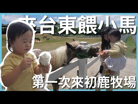 台東EP2｜最新網美溫泉園區，竟然還有划水道！｜初鹿牧場餵小馬竟然？｜台東最夯親子飯店禾風新棧｜豬豬隊友 Scott & Wendy