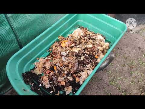 Bokashi (food waste) soil factory start-up: recycling old potting soil for the perfect growing soil