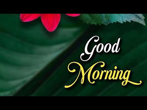 Ep-57/Good morning wishes with Beautiful images/Goodmorningvideostatus.subscribe @smilingthulasi3686