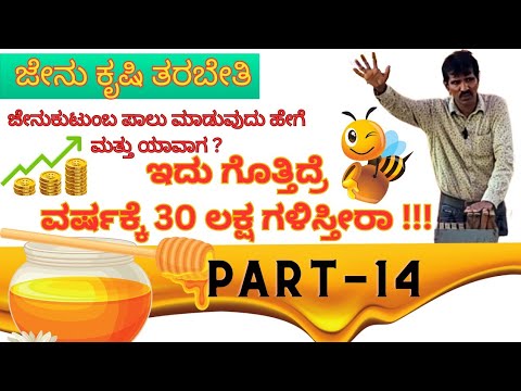 PART - 14  ಜೇನು ಕುಟುಂಬ ಪಾಲು ಮಾಡುವುವ ಸರಿಯಾದ ವಿಧಾನ ಕಲಿಯಿರಿ | The simple trick of making money