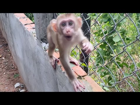 Cute baby boy playing alone look is very cute