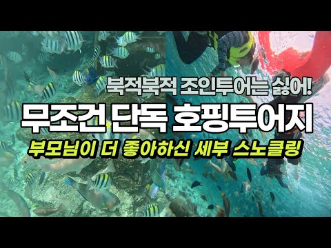 내돈내산 세부 단독 호핑투어 인생 첫 스노클링 한인 가이드와 함께한 프라이빗 스노클링 브이로그