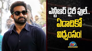 NTR Diary Full | NTR Upcoming Movies | War 2 | NTRNEEL | Devara 2 || @NTVENT