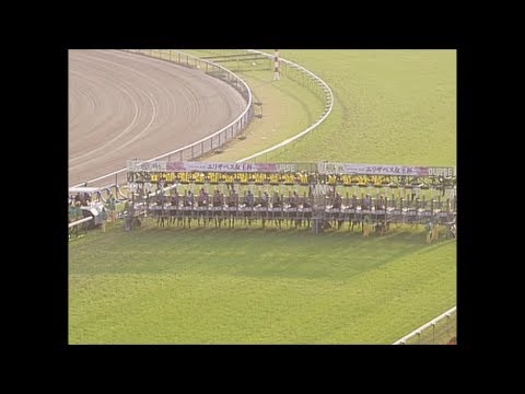 2003年　第28回エリザベス女王杯（アドマイヤグルーヴ　武豊）