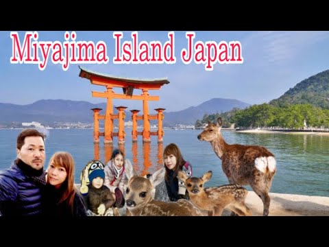 Miyajima Island Japan. (宮島) miyajima tour