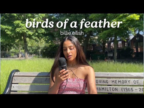 Birds of a Feather - Billie Eilish (cover)