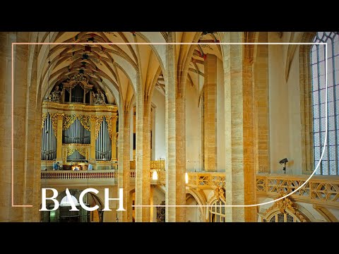 Bach - In dulci jubilo BWV 608 - De Man | Netherlands Bach Society