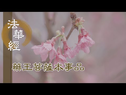 【靜思妙蓮華】 法華經 藥王菩薩本事品 - 弘揚法華 無邊功德 - 第1850集 20250114