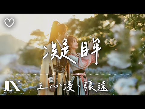 王心凌(Cyndi Wang)、張遠(Bird Zhang) l 凝眸 影視劇《永夜星河》插曲【高音質 動態歌詞 Lyrics】