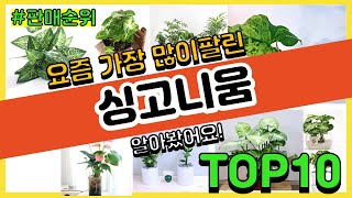 싱고니움 추천 판매순위 Top10 || 가격 평점 후기 비교