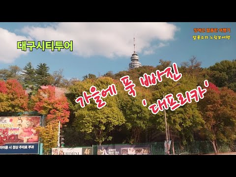 가을에 푹 빠진 '대프리카' - 대구시티투어