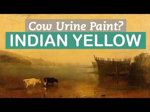 Paint made of Cow Urine? Indian Yellow | LittleArtTalks