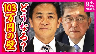 『103万円の壁』見直しどうなる　『178万円』引き上げで一歩も譲らない国民・玉木代表　自民は税収減に慎重ながら「丸のみしかない」の声も〈カンテレNEWS〉