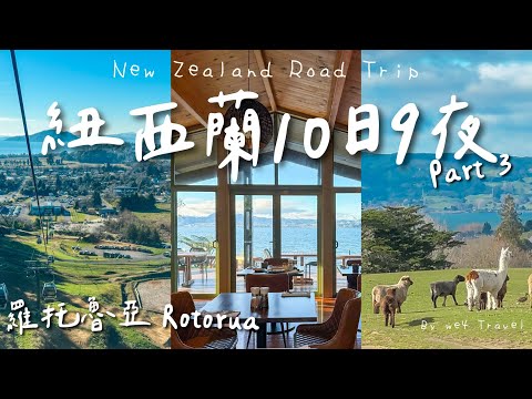 【🇳🇿紐西蘭旅遊Ep3】羅托魯瓦 Rotorua 3日2夜  // 紐西蘭Skyline Luge、草泥馬牧場Agrodome、地獄之門 Hell's Gate｜10日9夜北島自駕遊