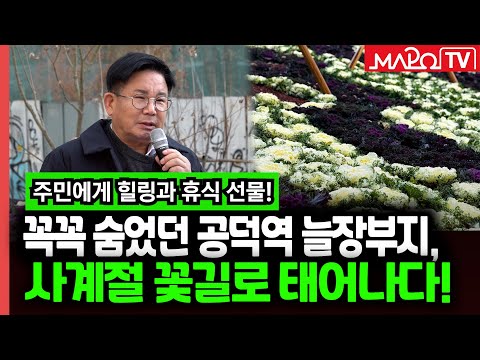 공덕역 늘장부지, 사계절 꽃길로 태어나다!  / 12월 30일