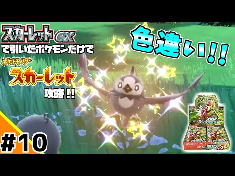 ポケカBOXスカーレットexで引いたポケモンだけでスカーレット攻略ウゥゥゥウウ！！part10 (ポケカ縛りでゲーム攻略 スカーレット×スカーレットex編 #10）