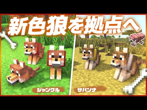 探索先バイオームから新色オオカミを拠点に連れて帰る🐺【マイクラ / マインクラフト / minecraft】110