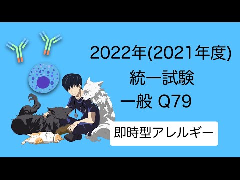 2022一般Q79『即時型アレルギー』 愛玩動物看護師国家試験対策