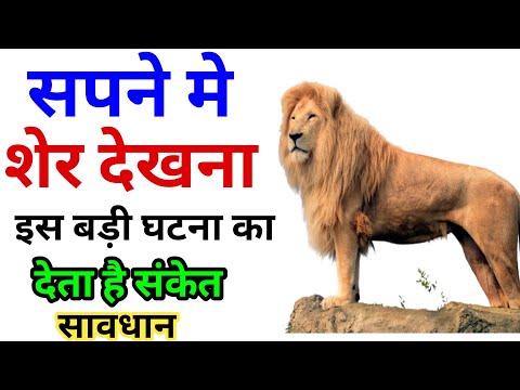 Sapne Me Sher Dekhna ,सपने मे शेर देखना ,Seeing Lion In Dreams, Sher Ka Sapna Dekhna