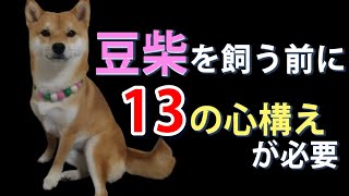 豆柴/柴犬を飼おうか悩んでいる方、コレを見れば飼育の大変さがわかります