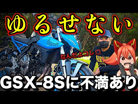 【告白】実はGSX-8Sに大きな不満があります【SUZUKI(スズキ)gsx8s、読谷村編】