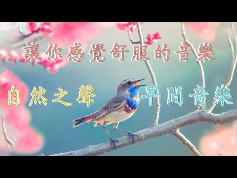 早上最適合聽的輕音樂 放鬆解壓 - 讓你感覺舒服的音樂 - 自然之聲冥想音樂 - 早晨冥想,讀書音樂 - 工作音樂 - 療癒音樂