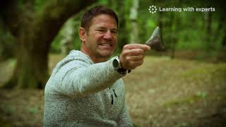 Become a Nature Knowledge Expert with Steve Backshall