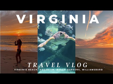 Travel Vlog: Virginia Family Vacation | Virginia Beach, Williamsburg, Eats