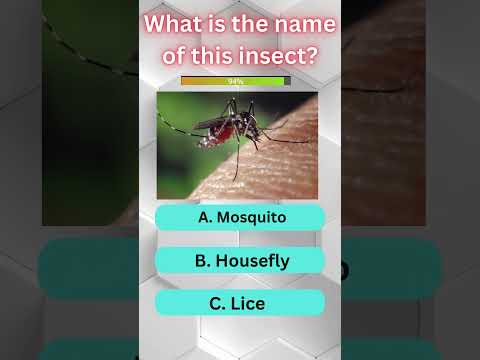 Epic Insect Quiz Challenge! Part 6 #viral #quiz #trending #shorts