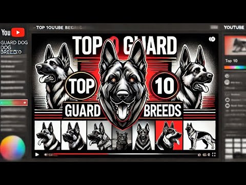 Why Top 10 guard dog breeds Is Still Important?, Here is What's Good About Top 10 guard dog breeds