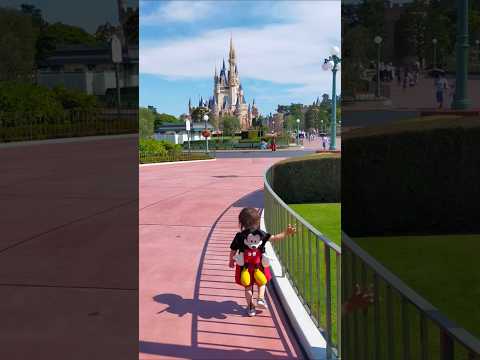 初めてのディズニーランド♪　　　1歳8ヶ月男の子