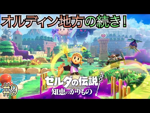 【ゼルダの伝説 知恵のかりもの】 #9 オルディン地方攻略の続き！